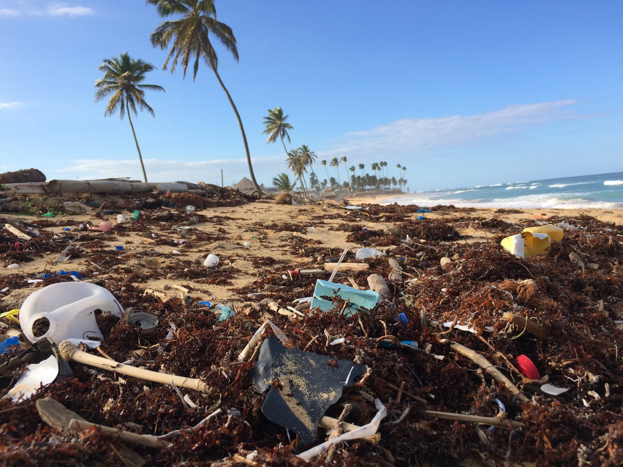 Rubbish on tropical island