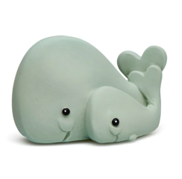 Image Credit: Mushroom and Co