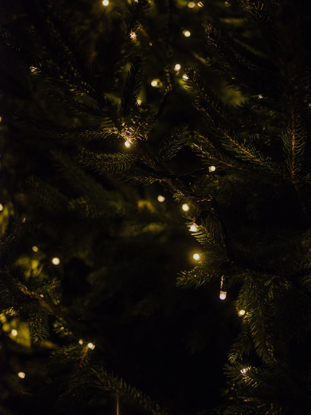 Recycling just one aluminium saves enough energy to run Christmas tree lights for two hours.