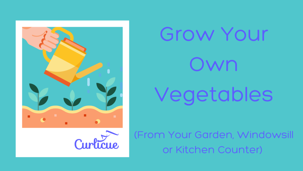 Grow Your Own Vegetables - Blog & Twitter (1).png