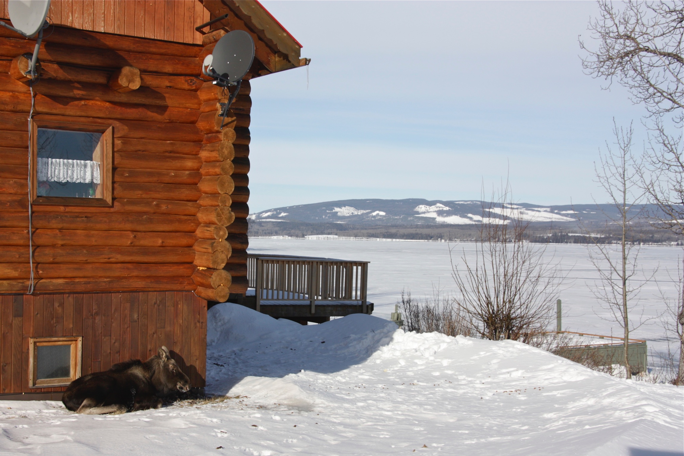 Wildlife Waterfront Properties Canada British Columbia