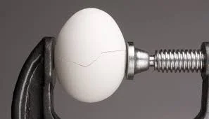 egg.jpg
