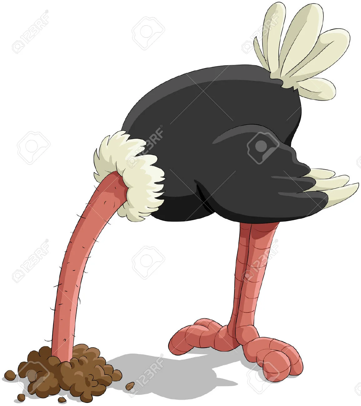 ostrich.jpg