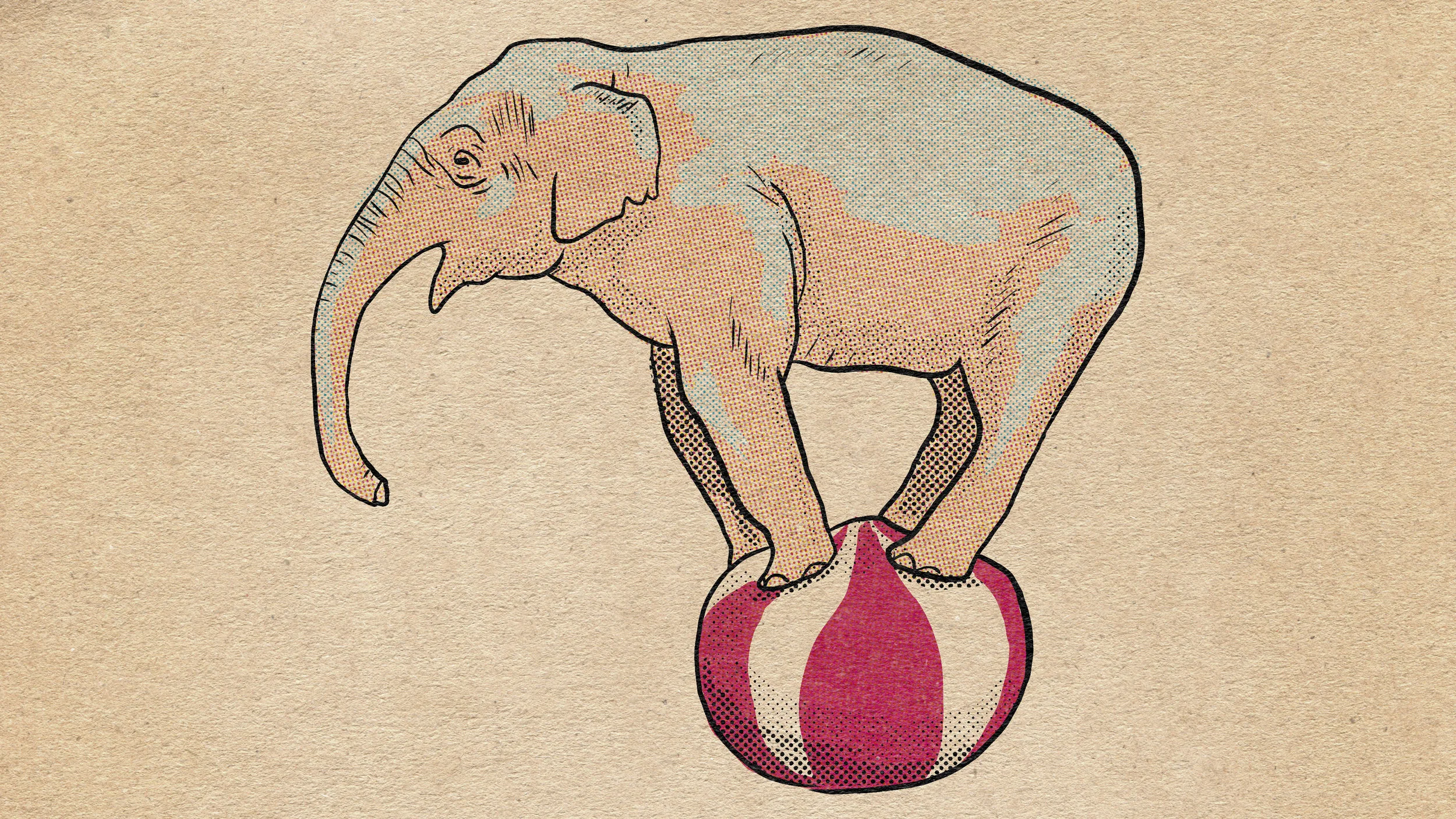 elephant.jpg