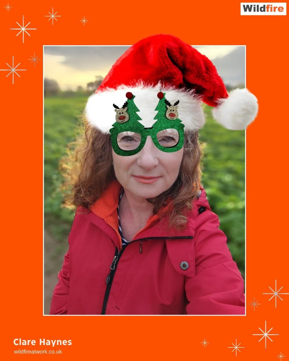 In case you're in danger of Christmas conversations sending you crackers ...

Don&rsquo;t come to me for Christmas advice! No matter how organised I get, it's the end of Autumn workload and the end of school term and it all feels rushed!

But if ther