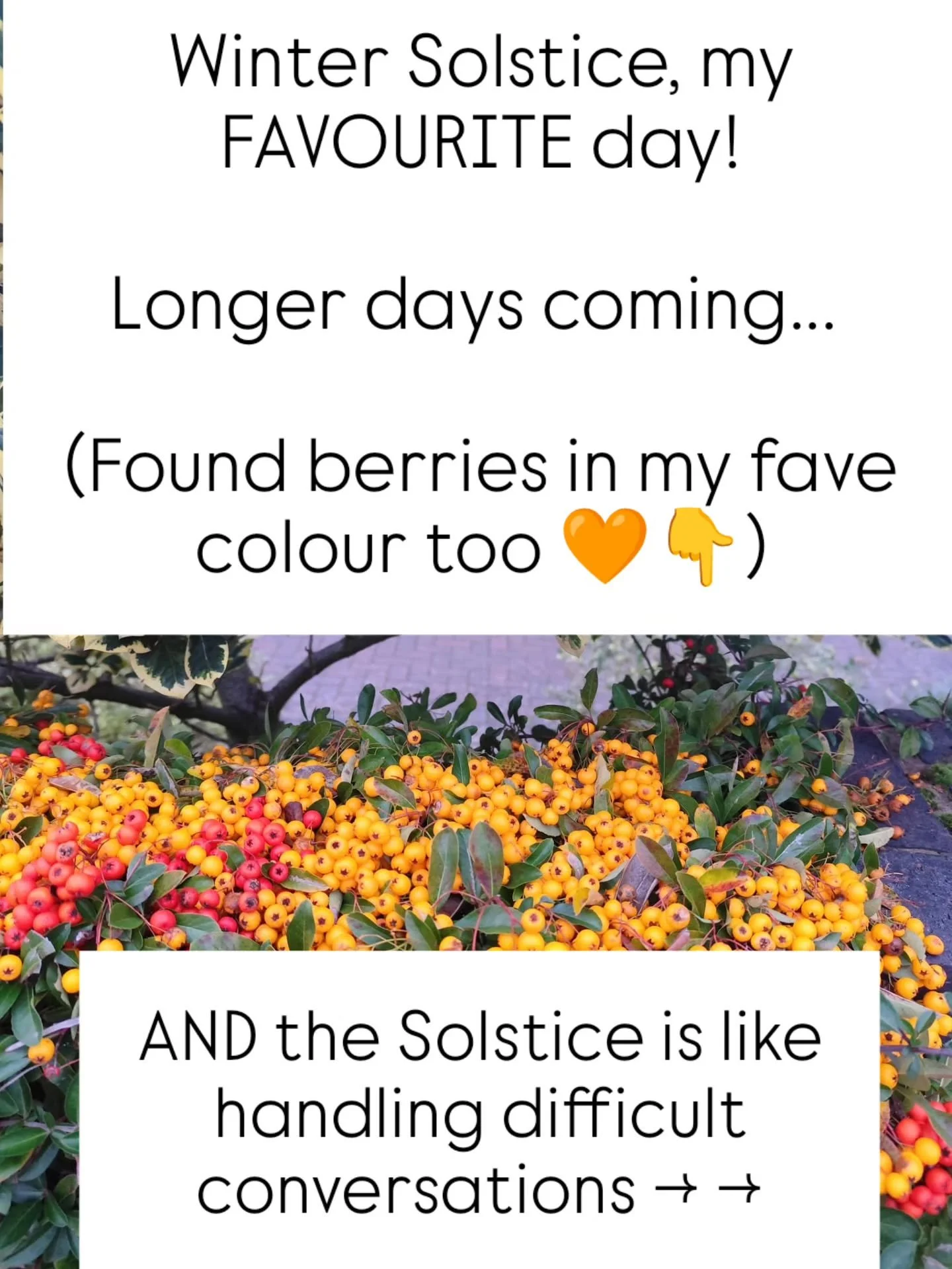 Winter Solstice, my FAVOURITE day!

Longer days coming...&nbsp;

(Found berries in my fave colour too 🧡)

AND the Solstice is like handling difficult conversations -> &nbsp;->

1. Going into it is the darkest point..

It's often&nbsp; uncomfor