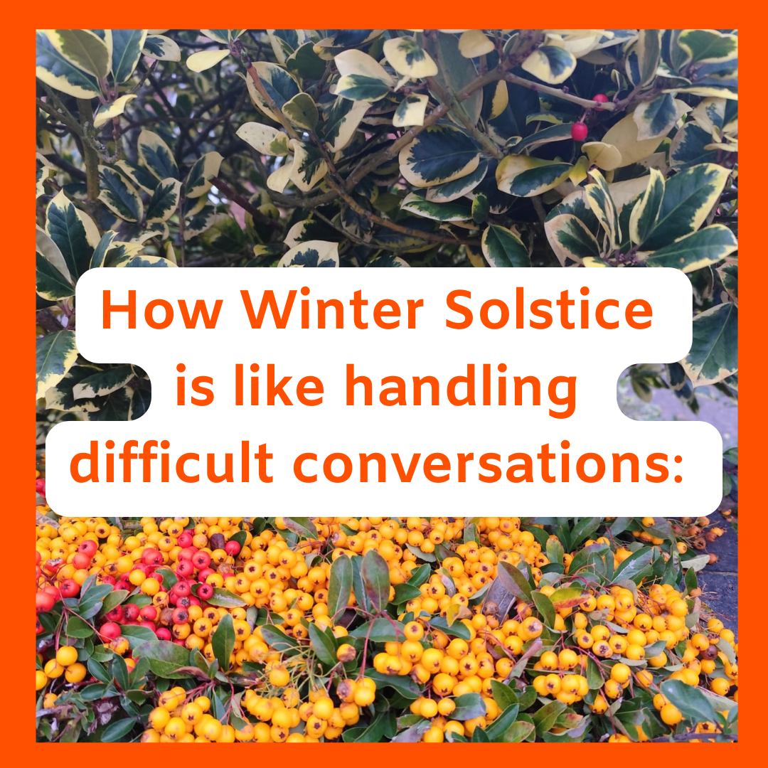 Winter plants with writing in front saying How Winter Solstice is like handling difficult conversations