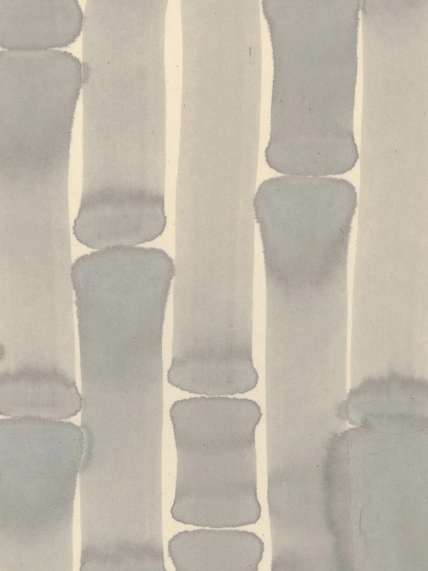 Laminae_detail.jpg