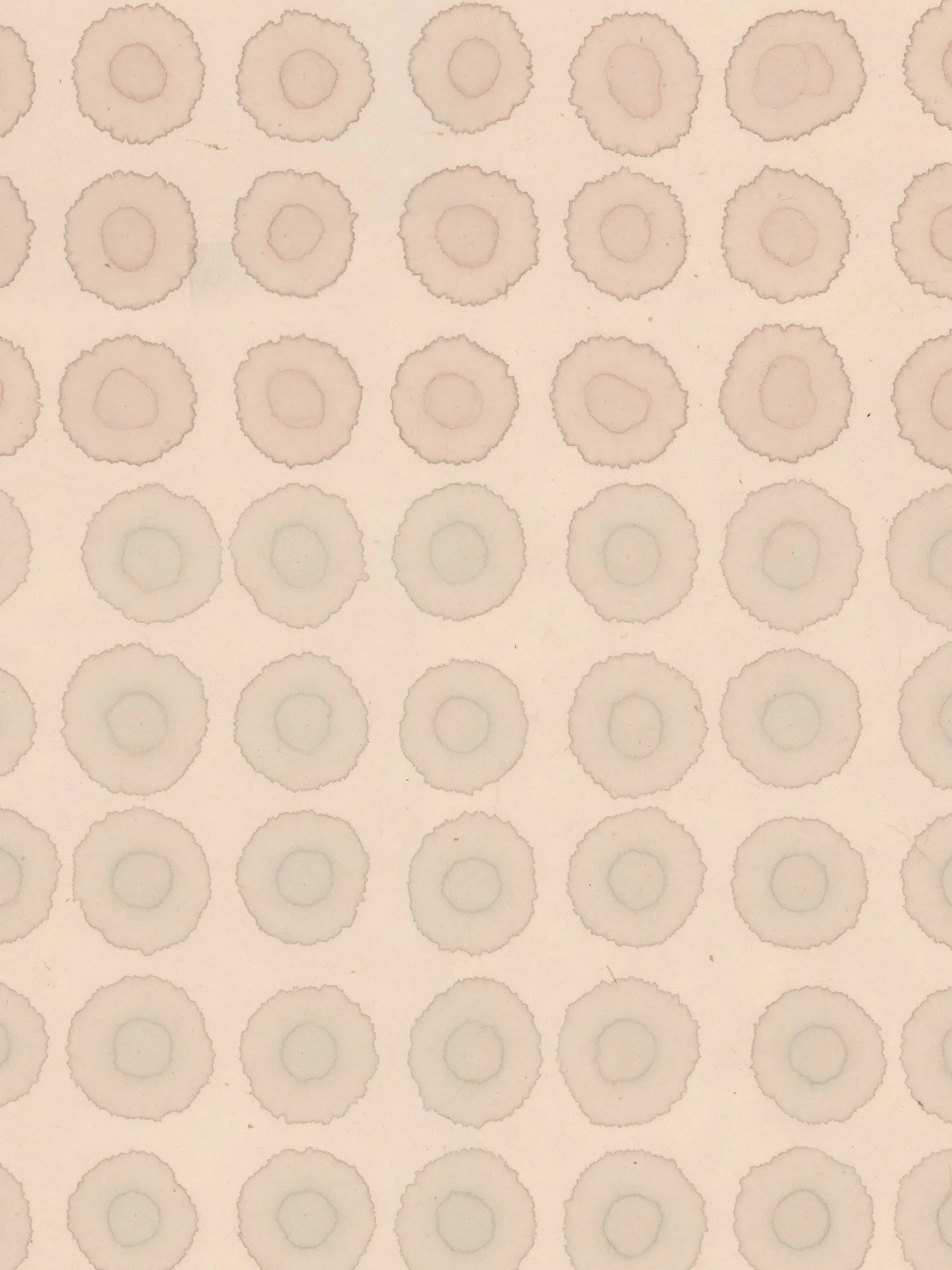 Mono-no-aware_detail-2.jpg