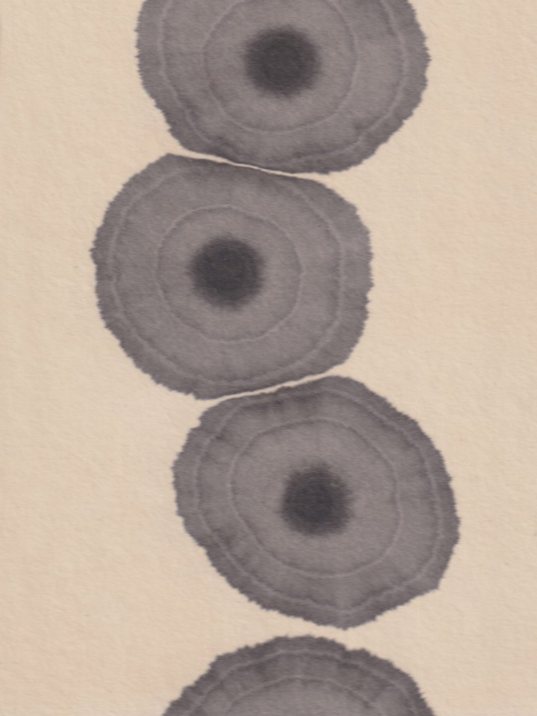 I love what a few simple drops of ink can create &mdash; marks shaped by the properties of the materials and by time. I place one drop, breathe, then place another elsewhere. Over time, I return to the first and add a second drop right on top of it.
