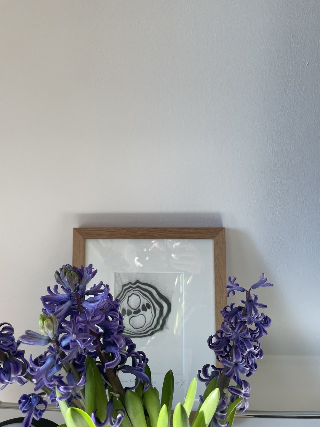 Little snapshot made in our living room the other day, promising that spring will come! (The sooner the better :-)
&mdash;
In the background you see a little suminagashi I created years ago. Followed by some other small sized works, available at my s
