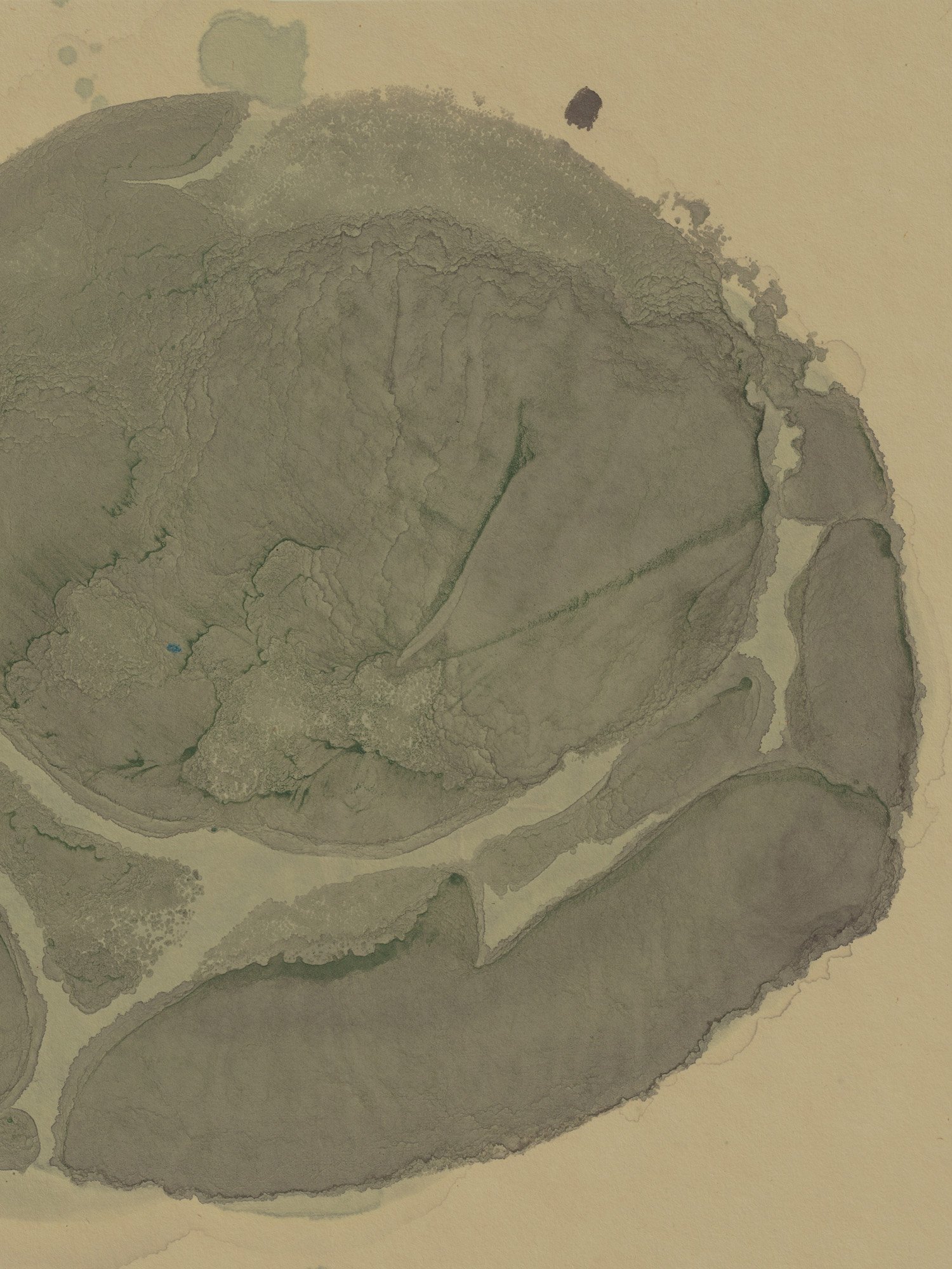 Green and its Symbolism