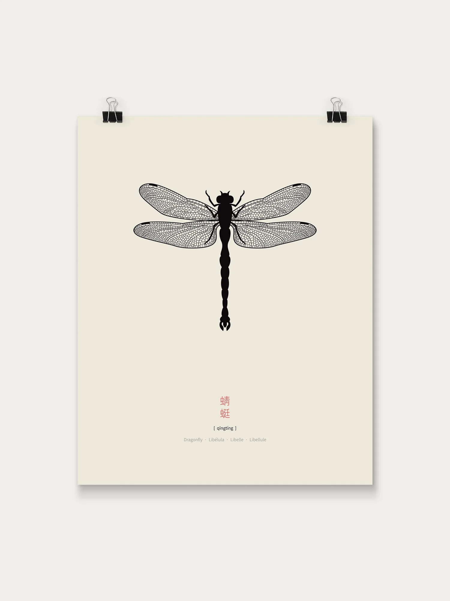 Dragonfly_Poster_40x50.jpg