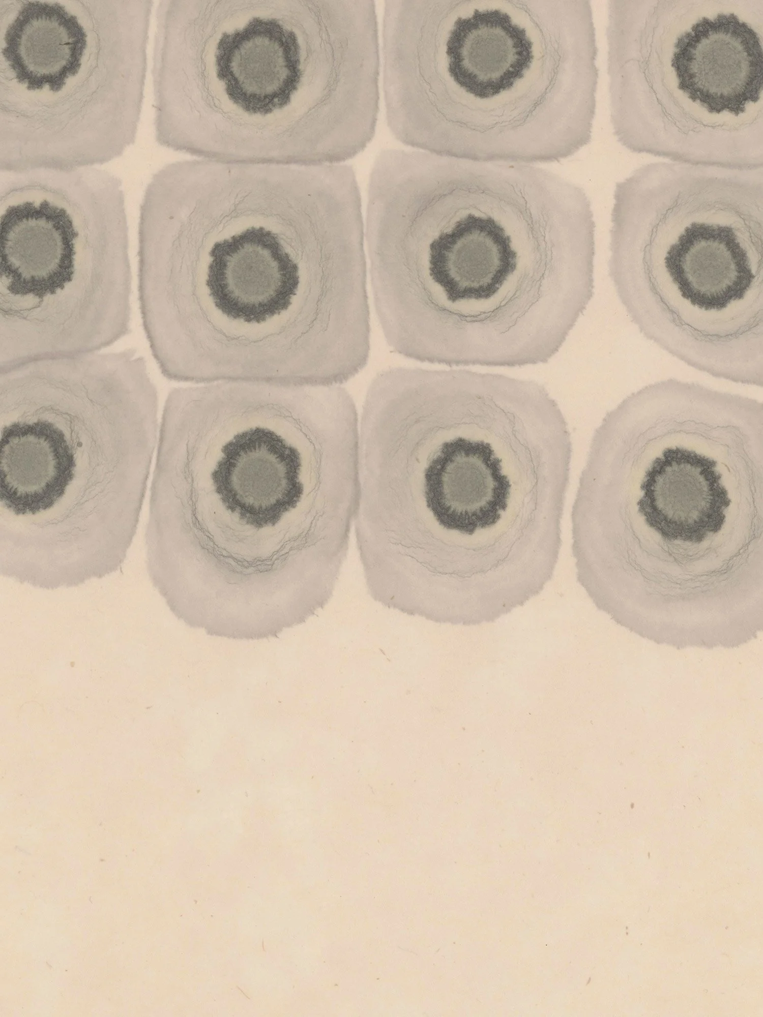 Latent-Green_detail.jpg
