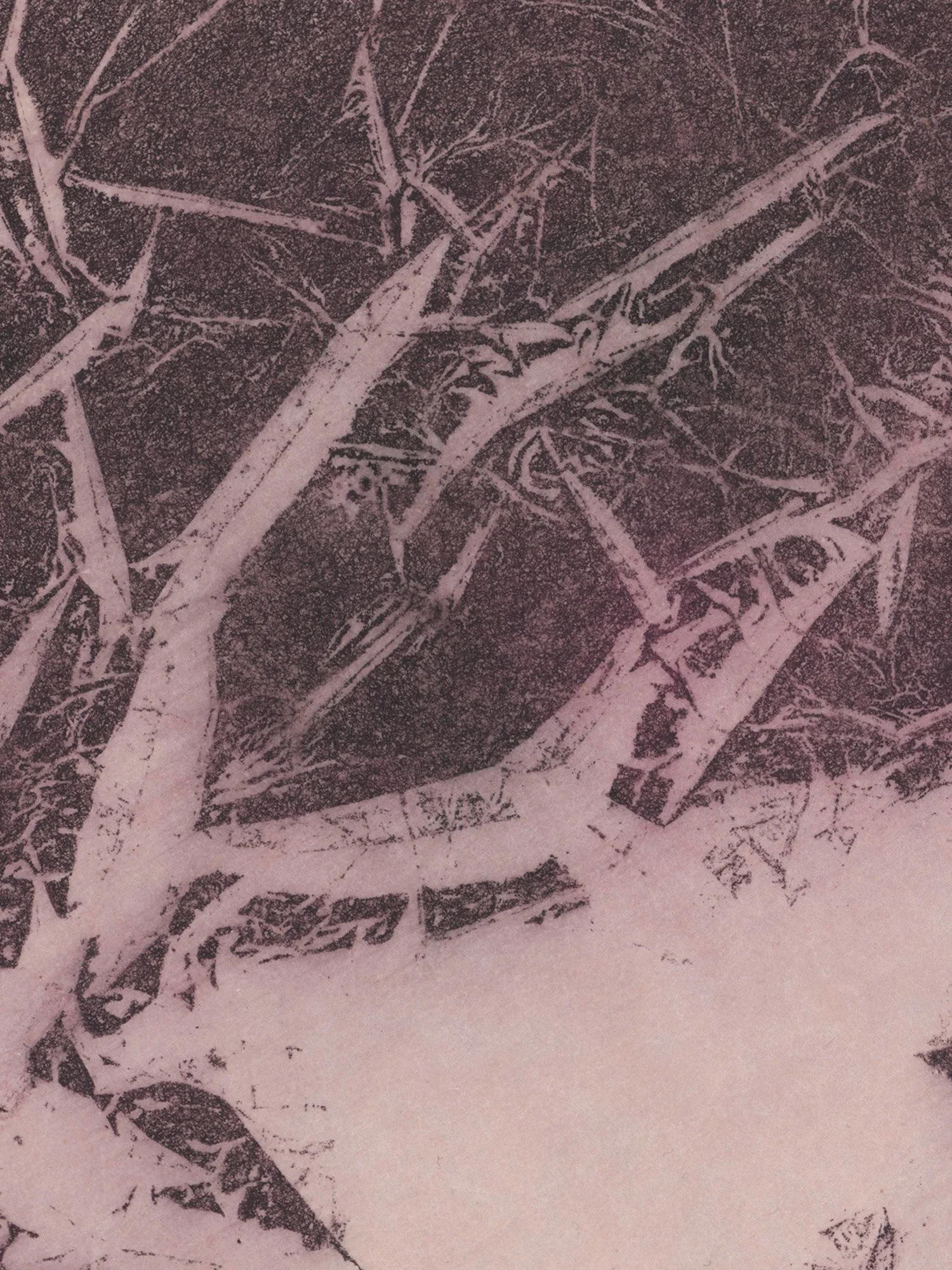 Fractal_detail.jpg