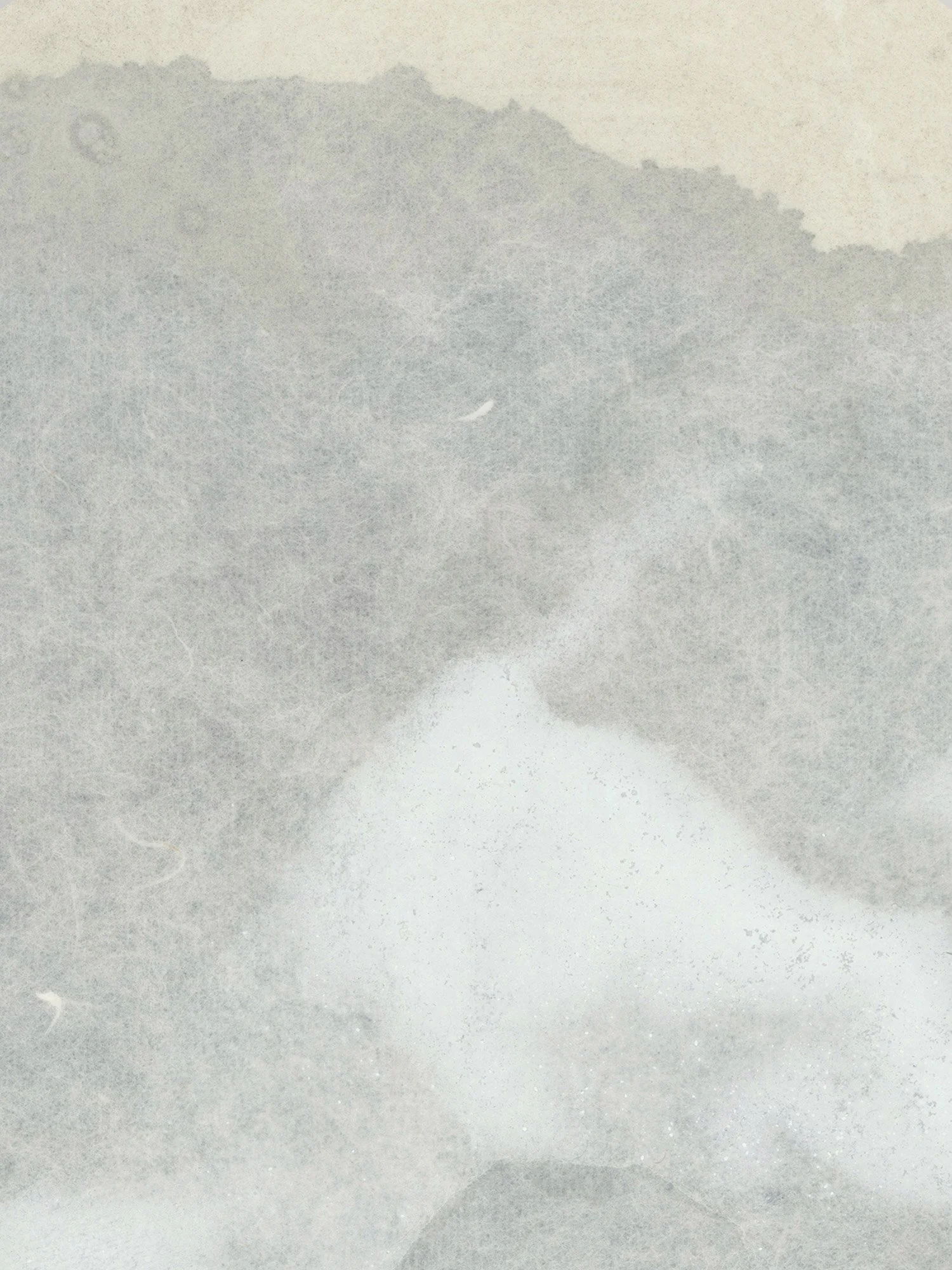 Shrouded_detail.jpg