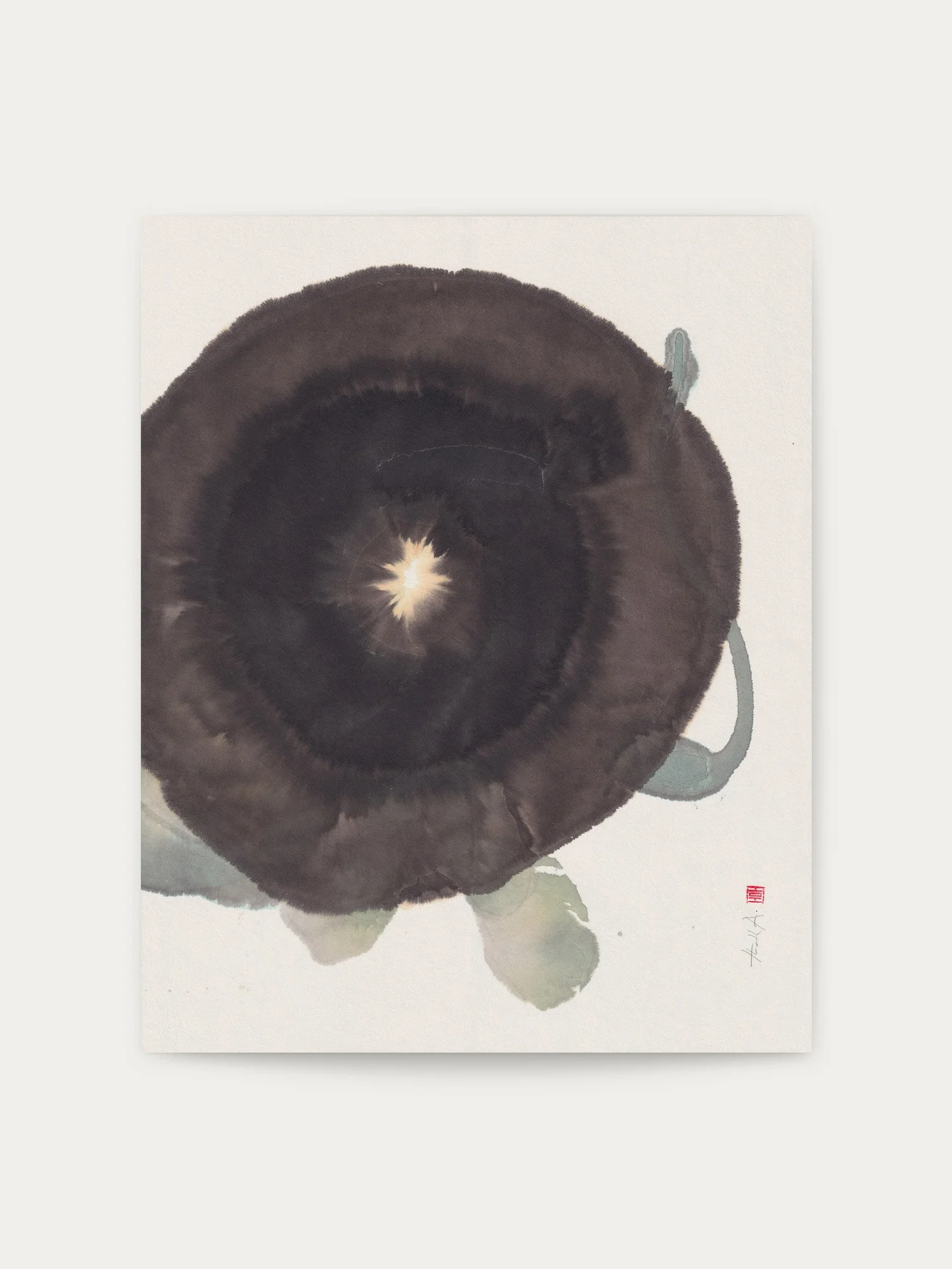 morning-glory_art_web_2024.jpg