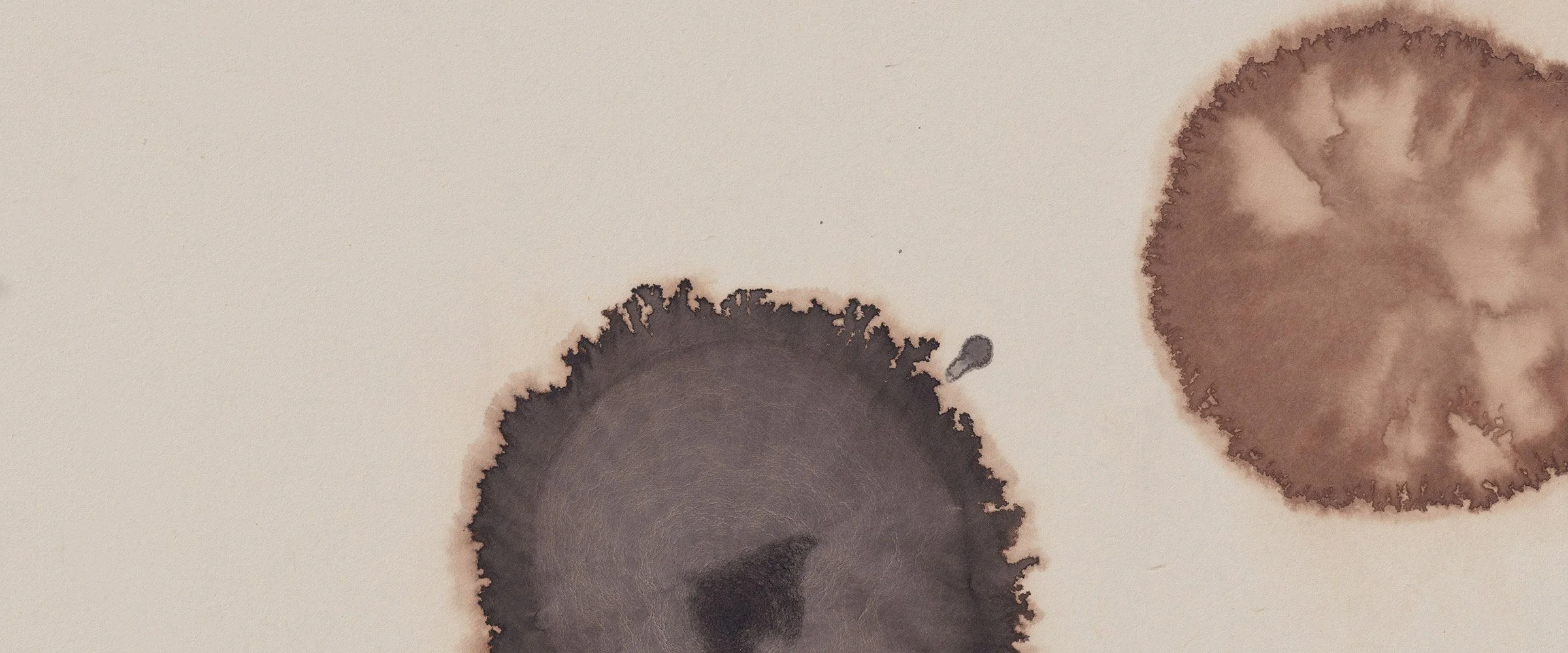 Ensō + Co. (Art series) Detail