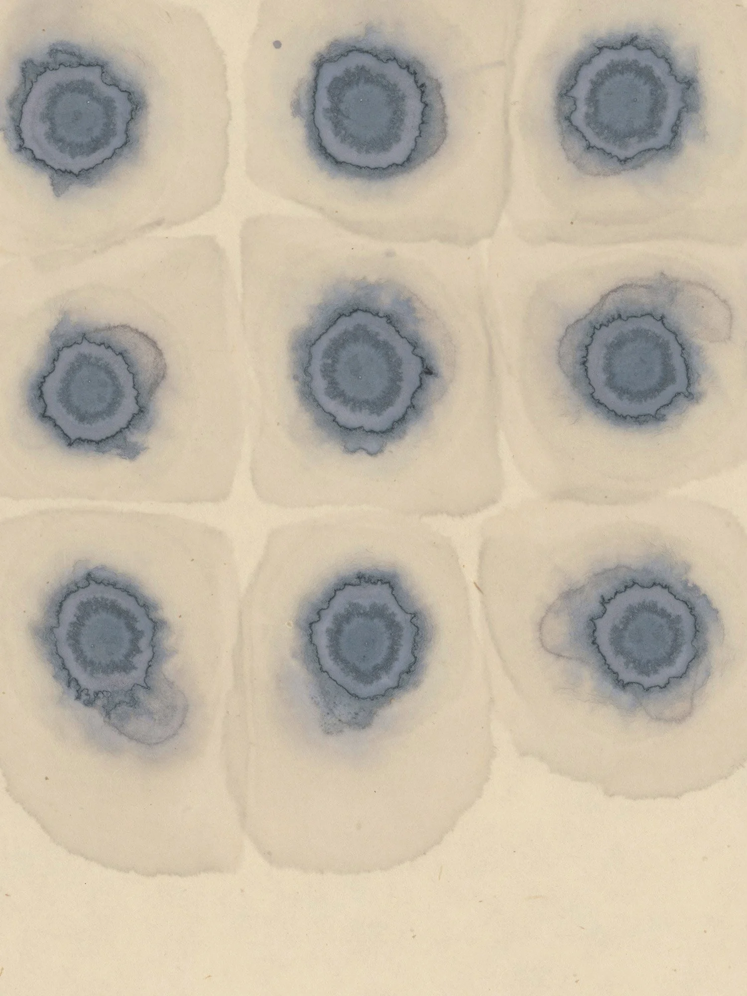 Latent-Fields_detail.jpg
