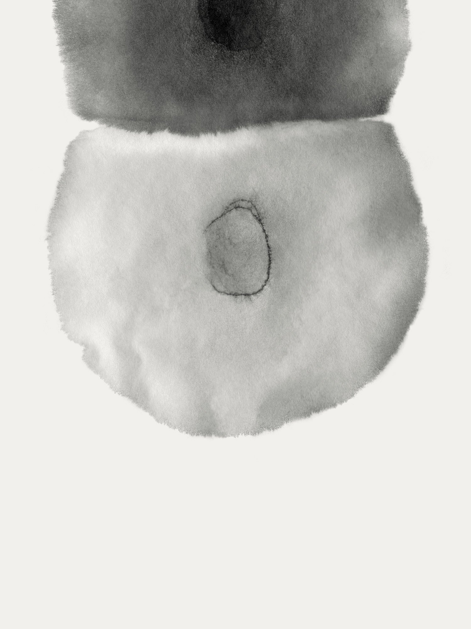 growth_detail.jpg