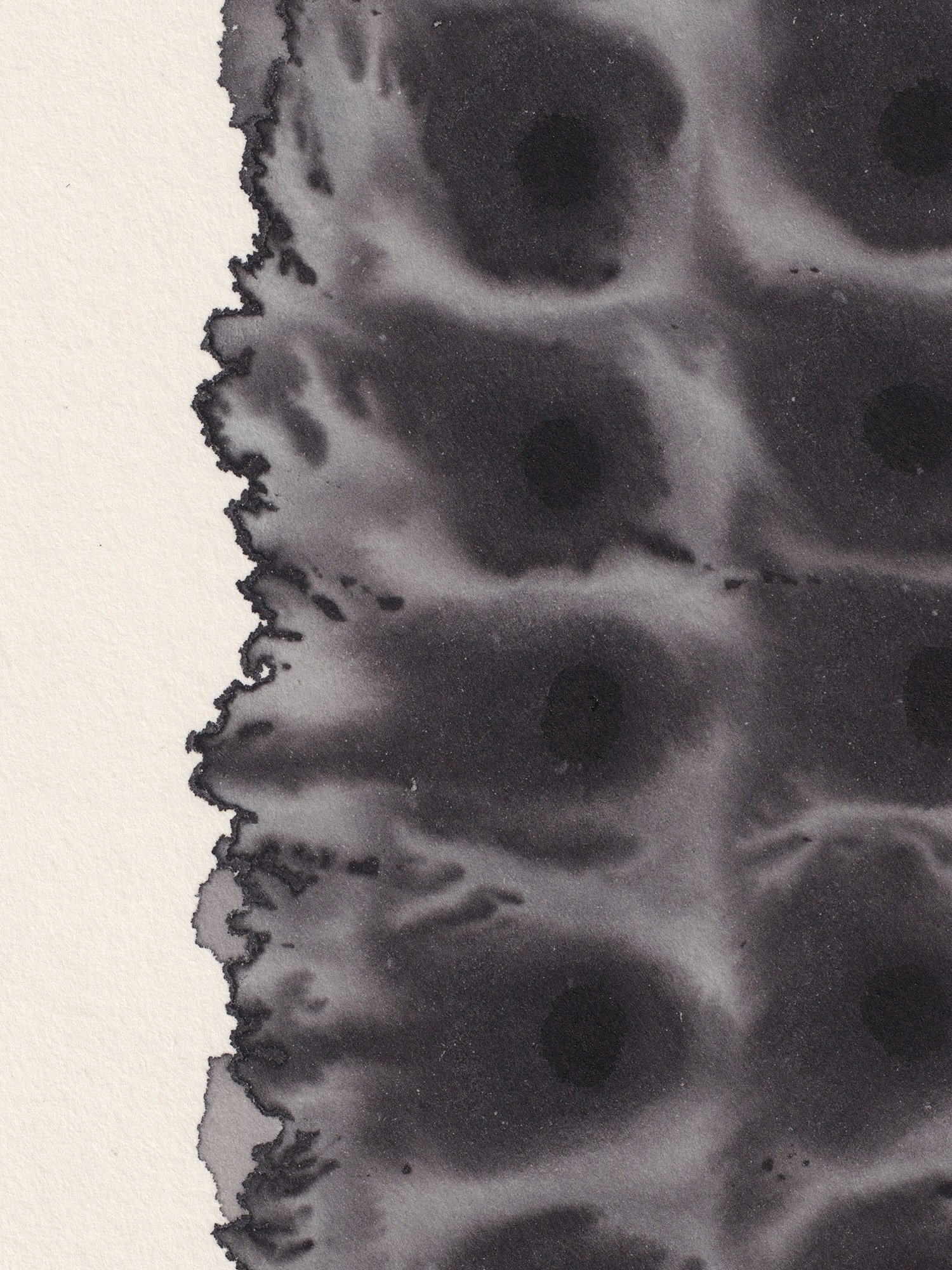 breath-55_detail.jpg