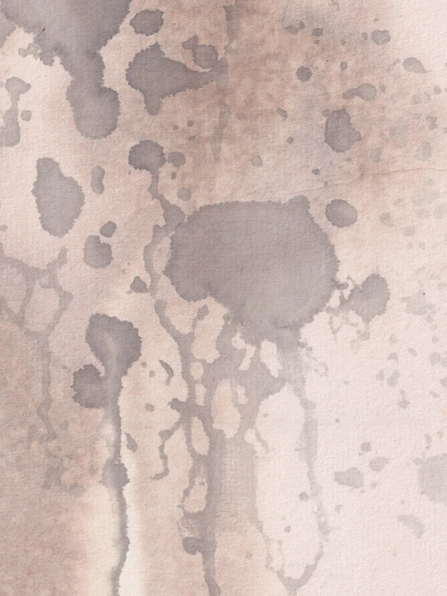 Quiet_detail.jpg