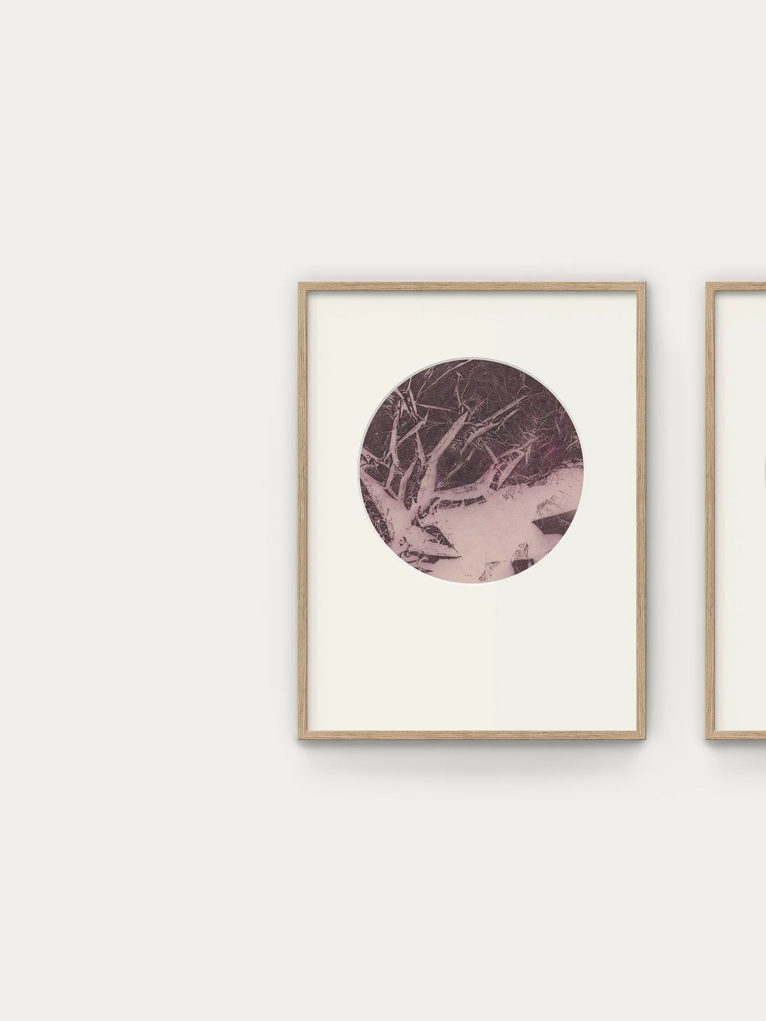 Fractal_framed.jpg