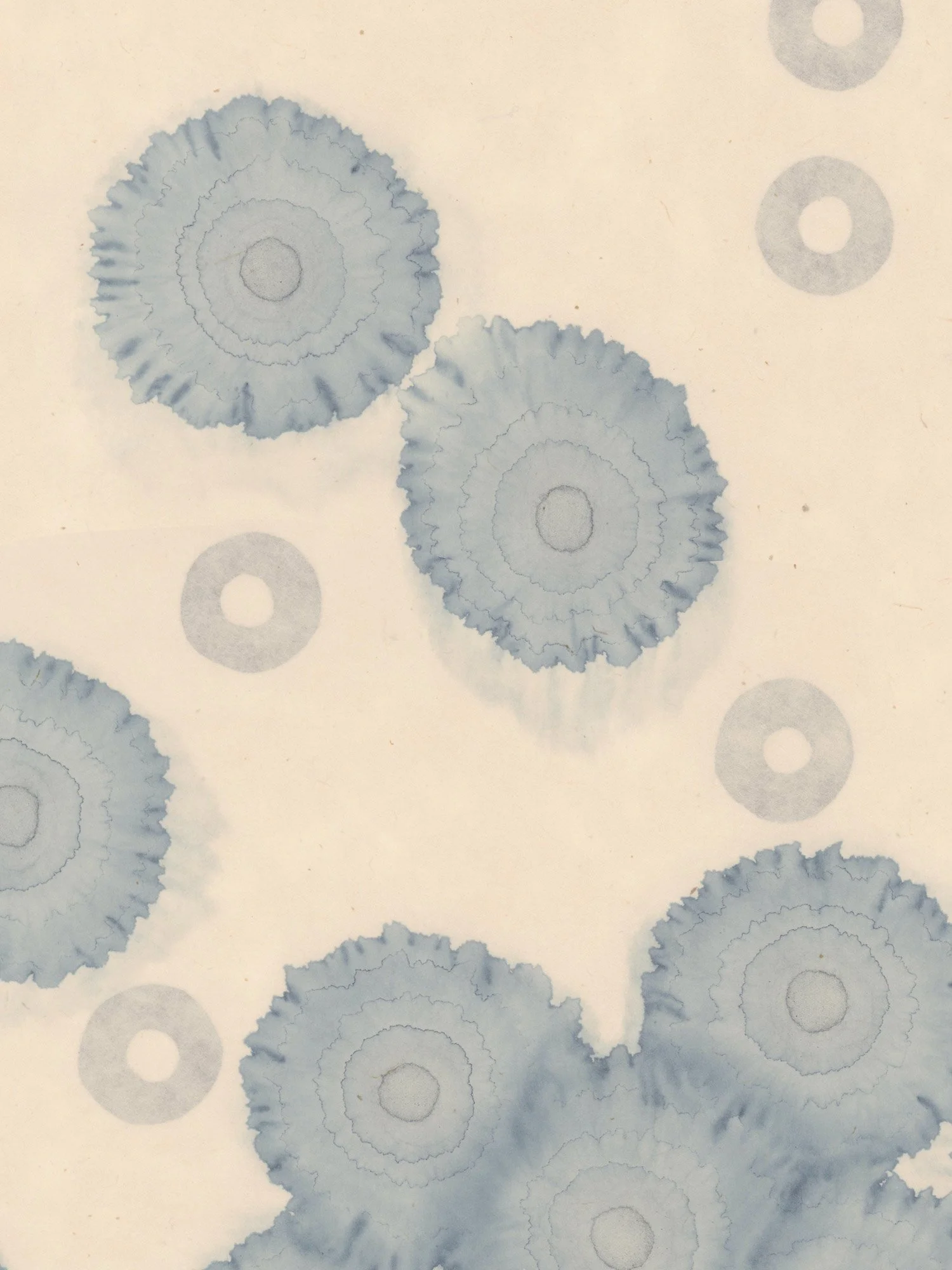 Emergence_detail.jpg