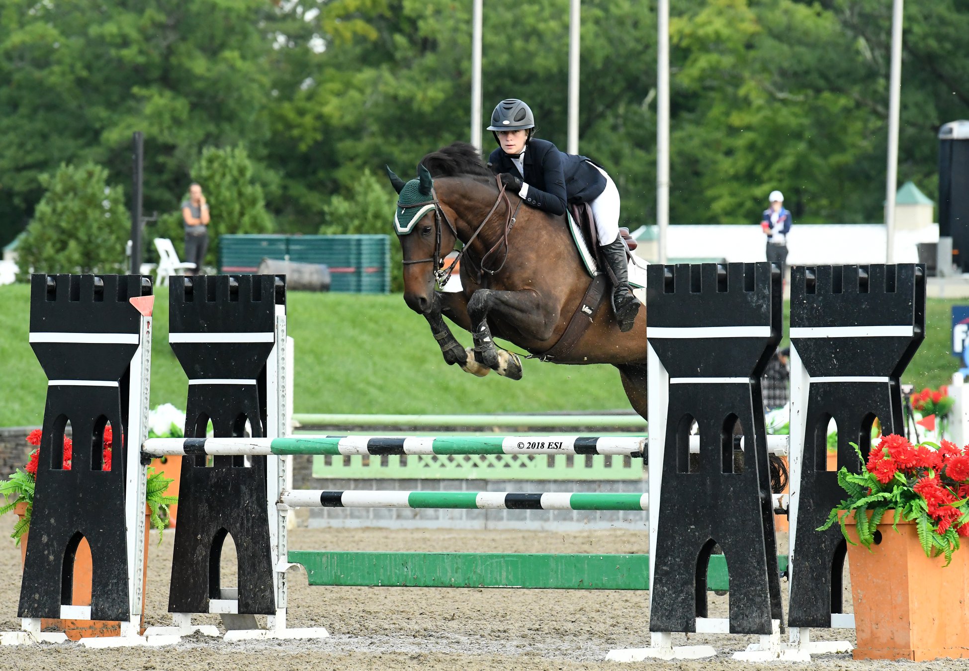 Show jumper jumping over green fence in show ring