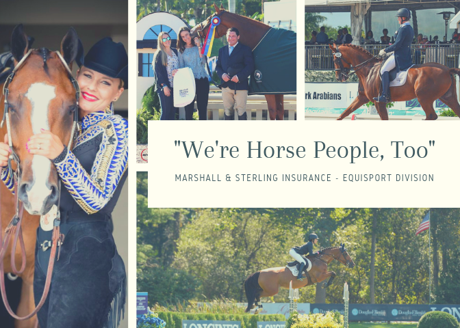 We're Horse People, Too.png