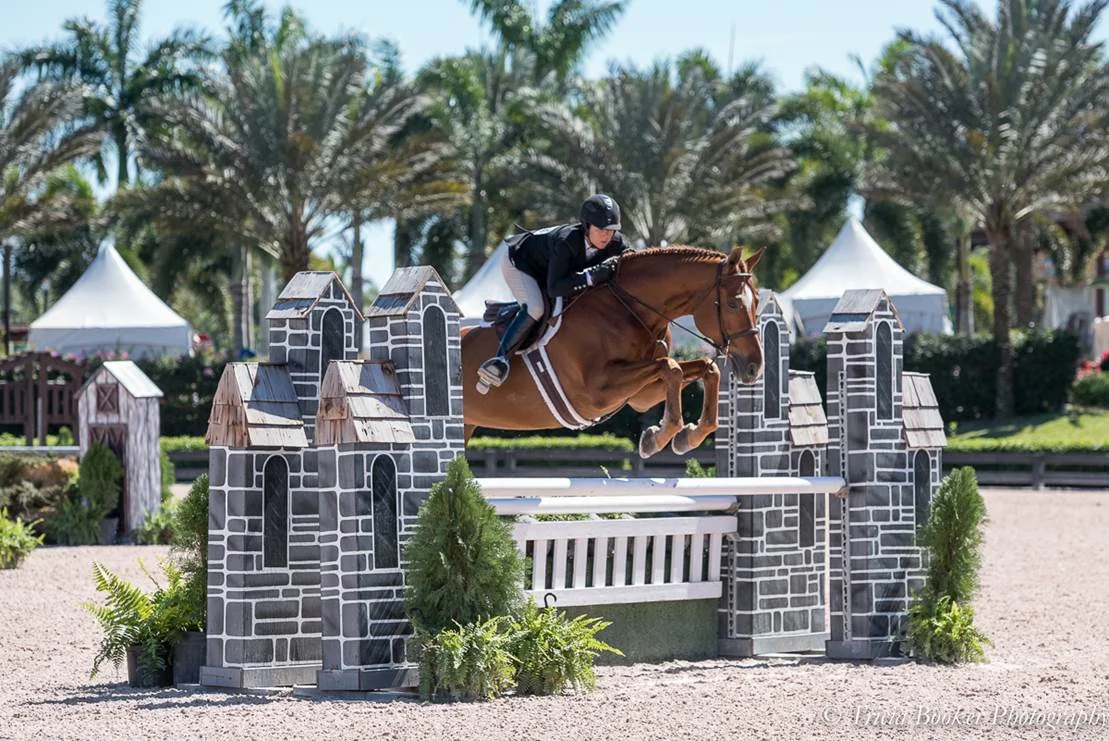 show hunter jumping a fence in florida