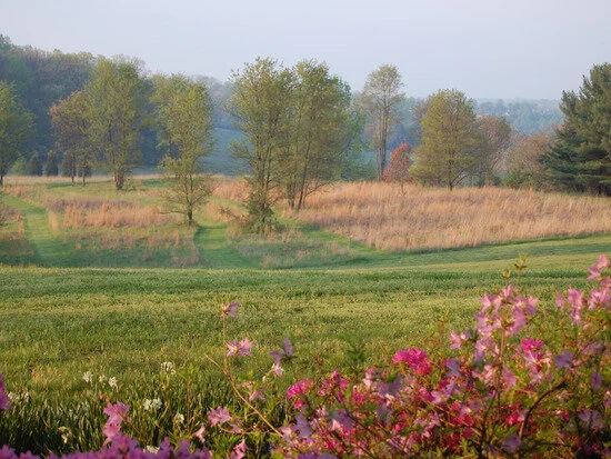DSC_0470.jpg