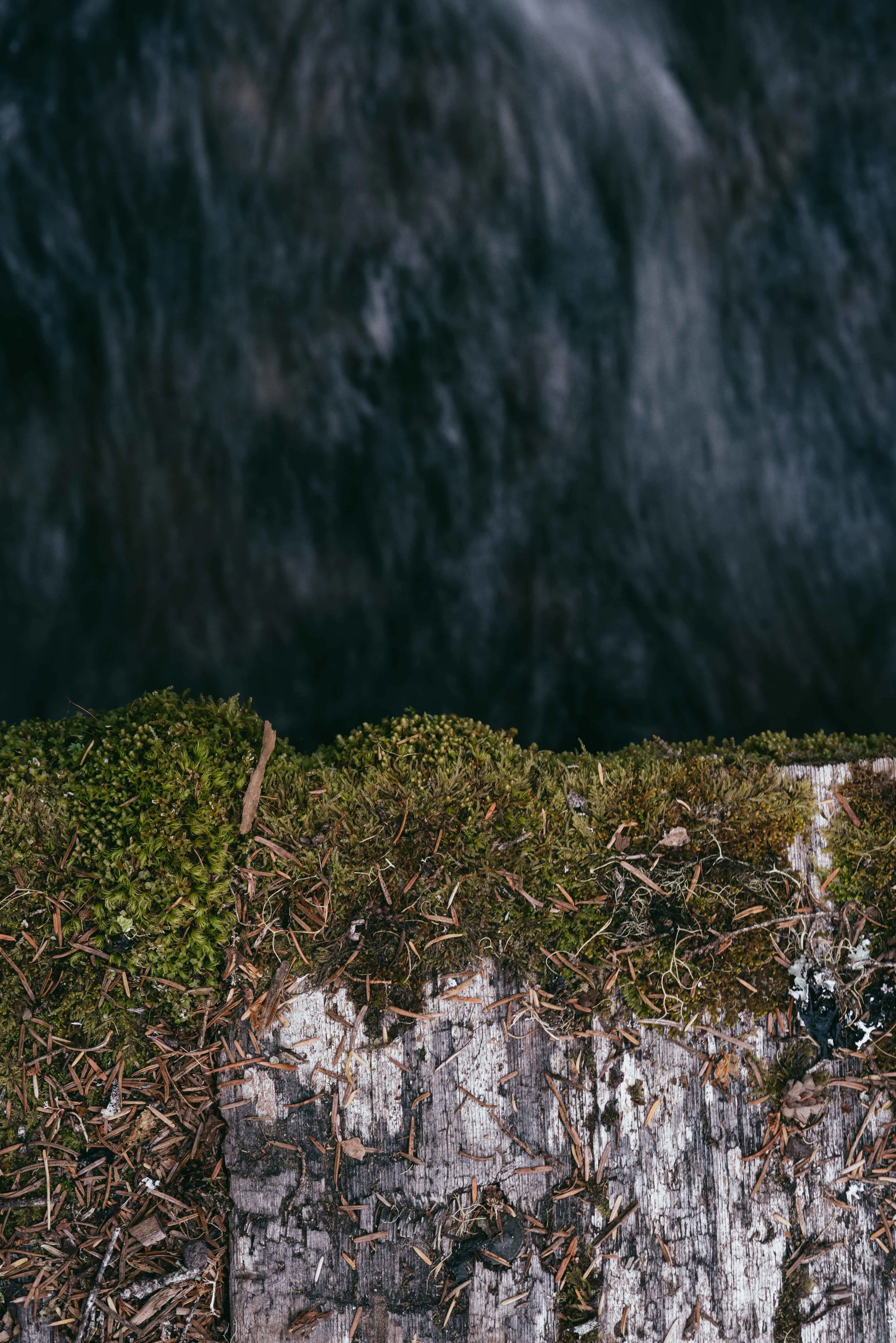 @travperk_photo<>MINERAL_Vibe_LowRes-12.jpg