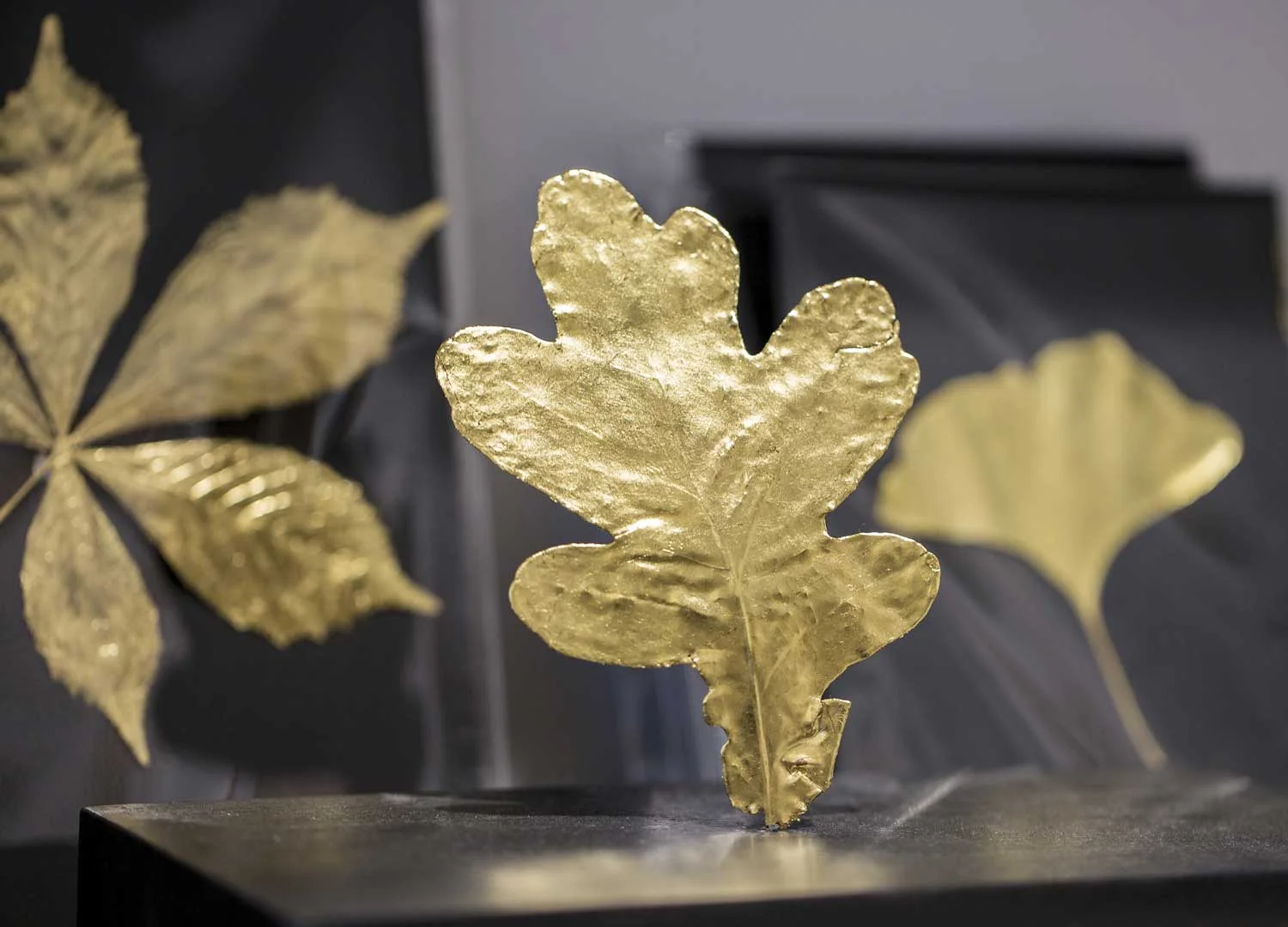 Web_SHOP_goldleaves_2500x1800.jpg