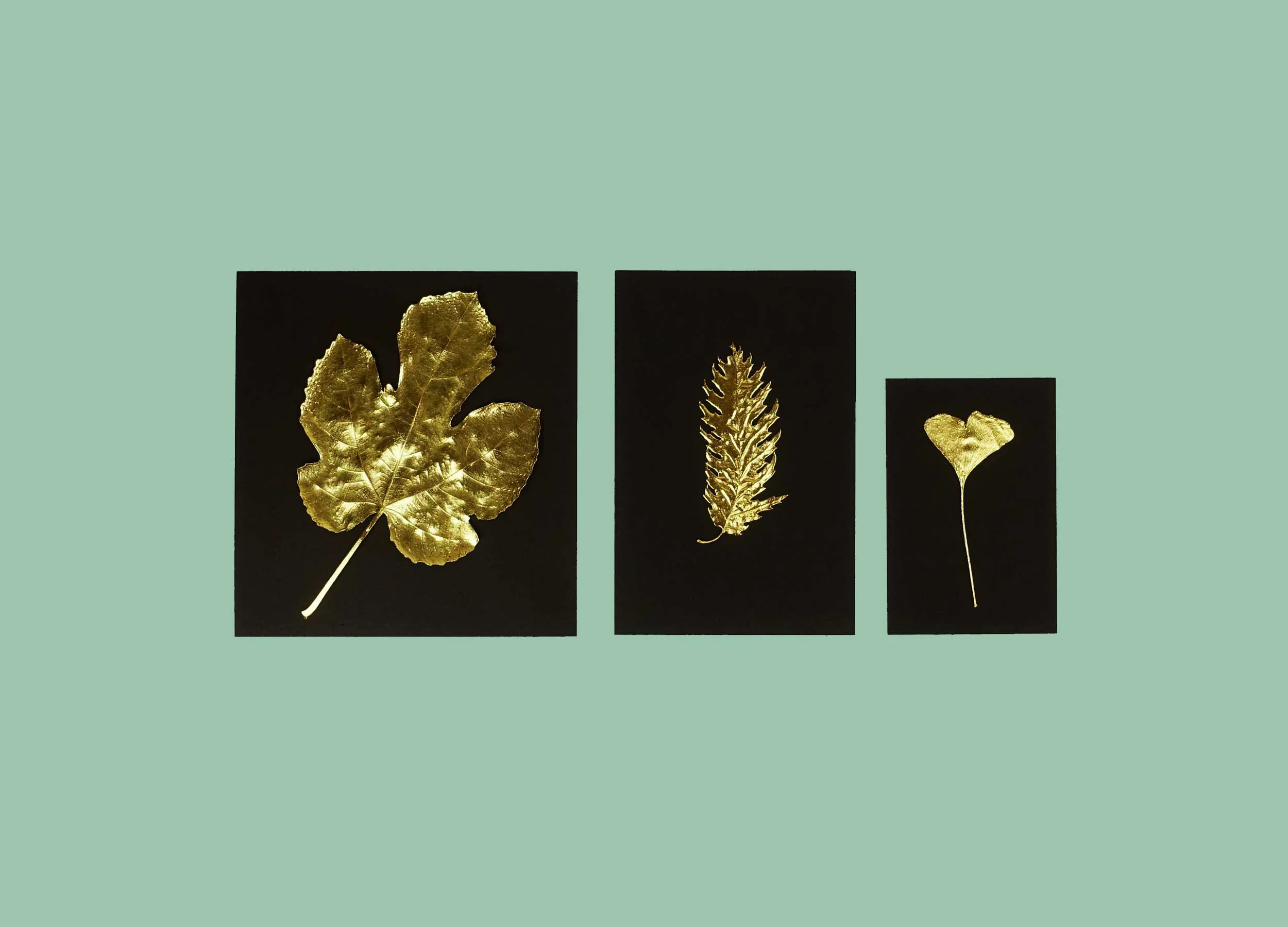 GOLDBLATT