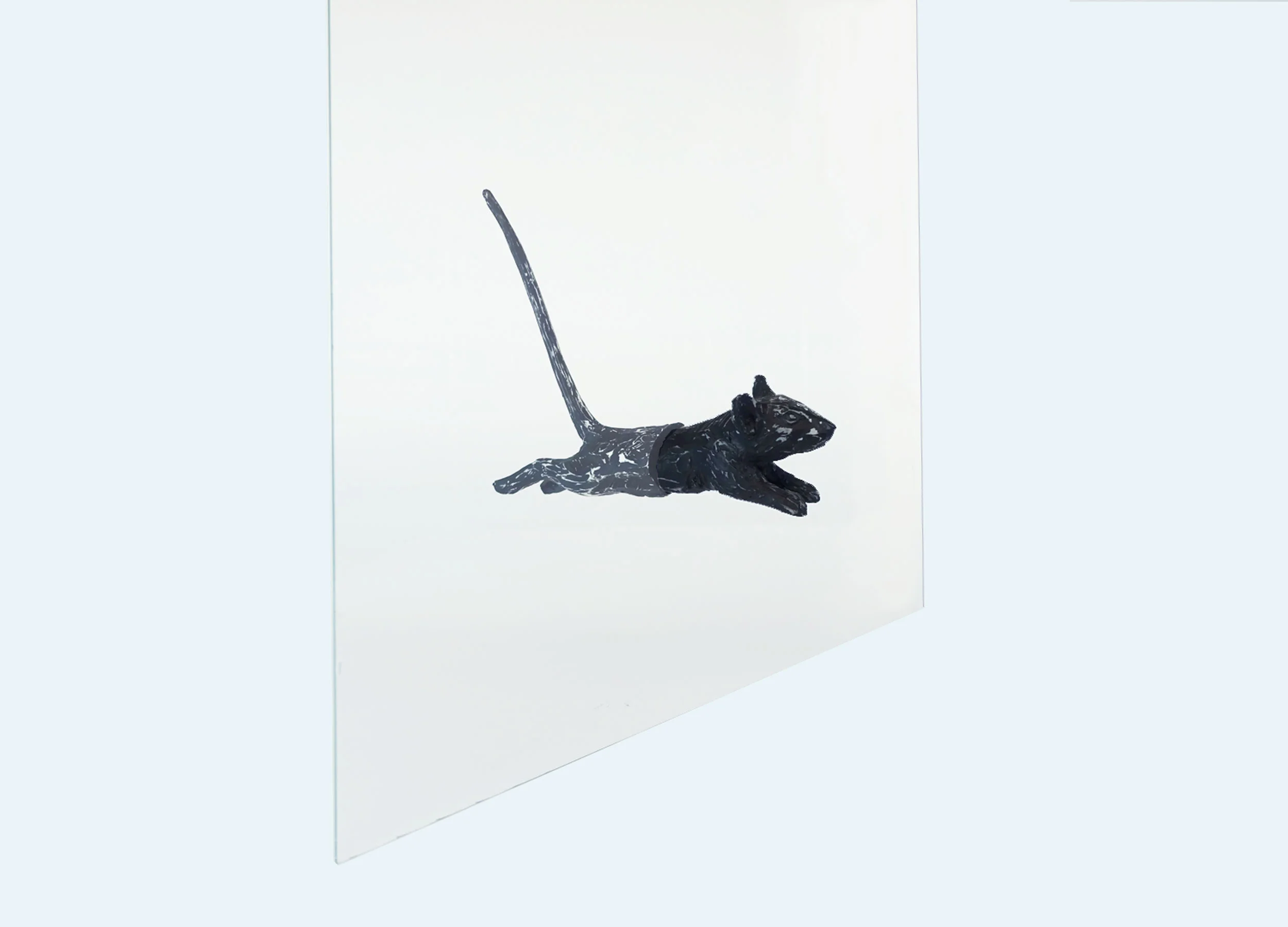 Web_flymaus1_2500x1800-Recovered-Recovered.jpg