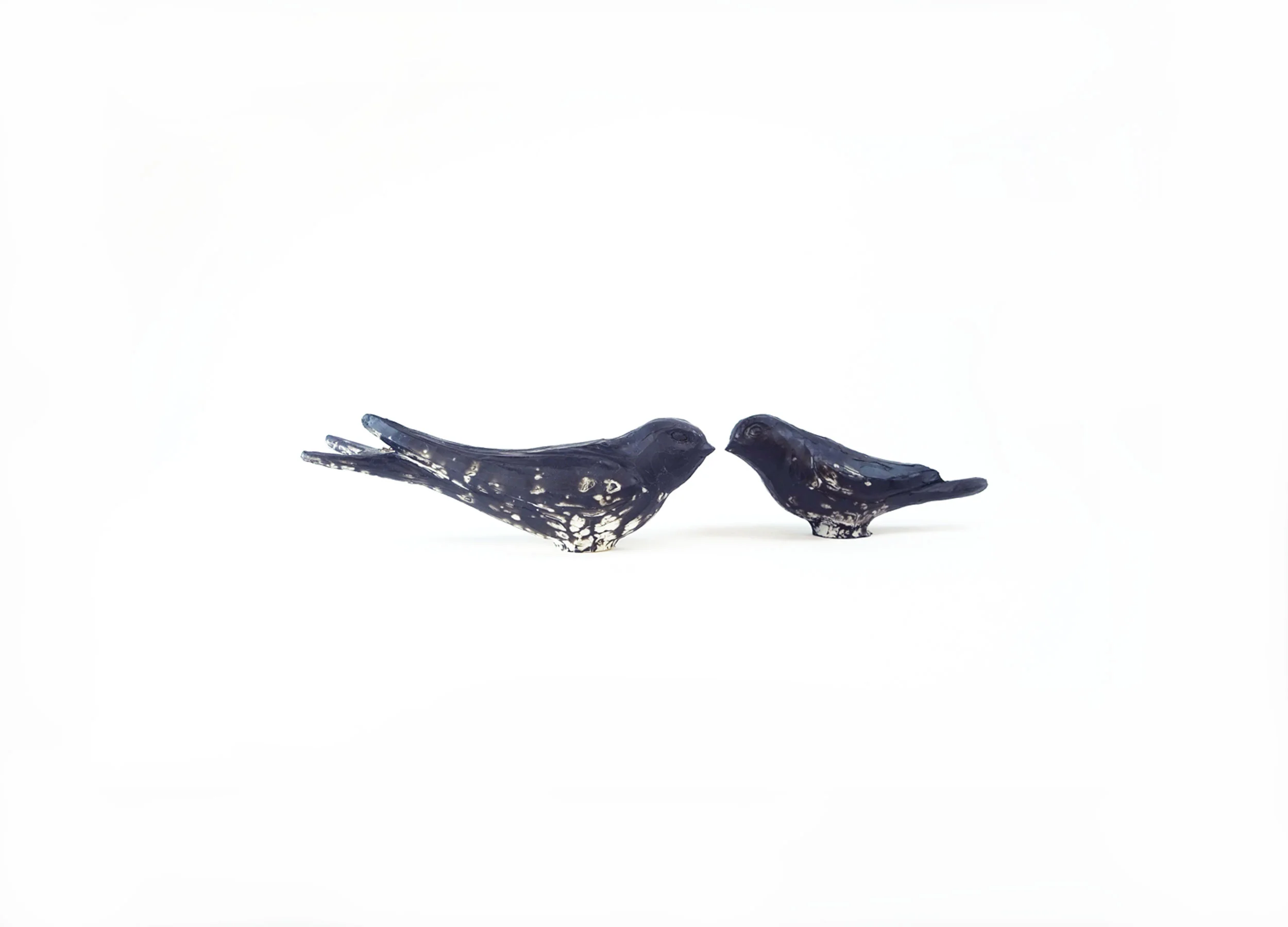 Web_vogelmagnete_2500x1800-Recovered-Recovered.jpg