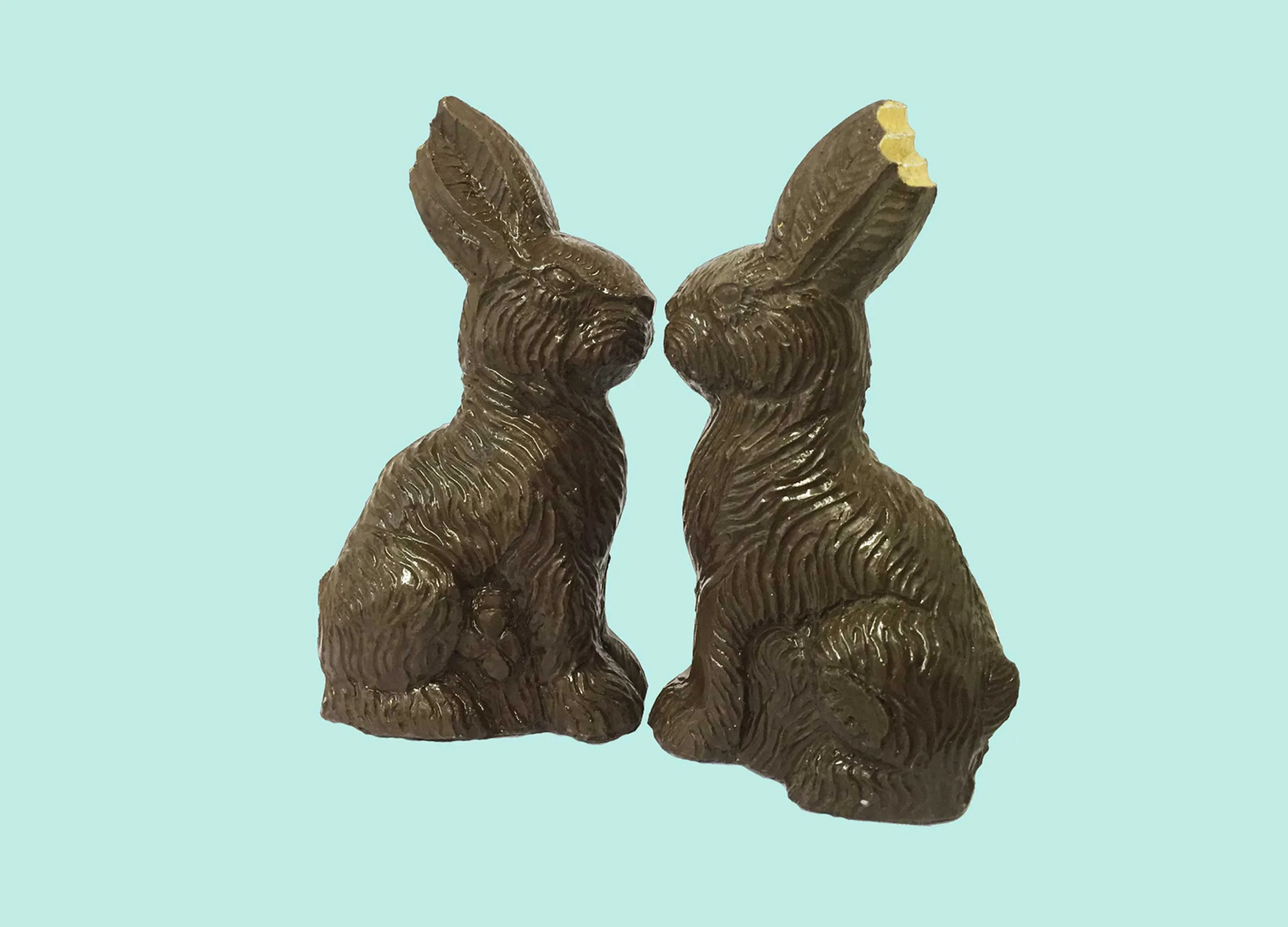GOLDBUNNY
