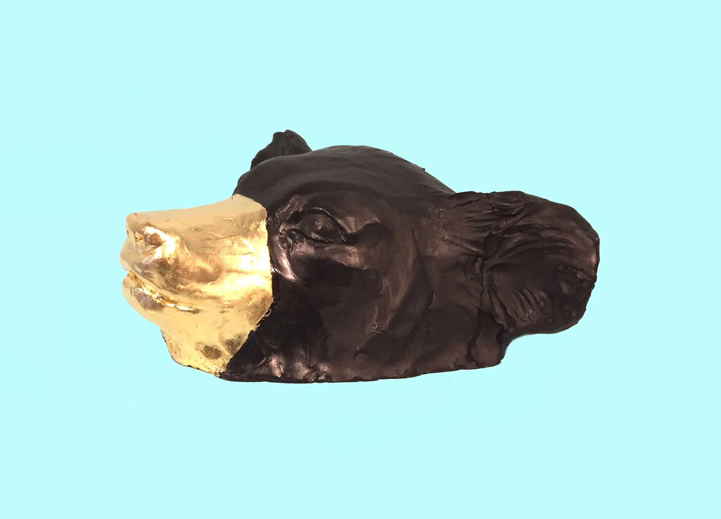 Web_sunnybearblack_2500x1800-Recovered-Recovered-Recovered.jpg