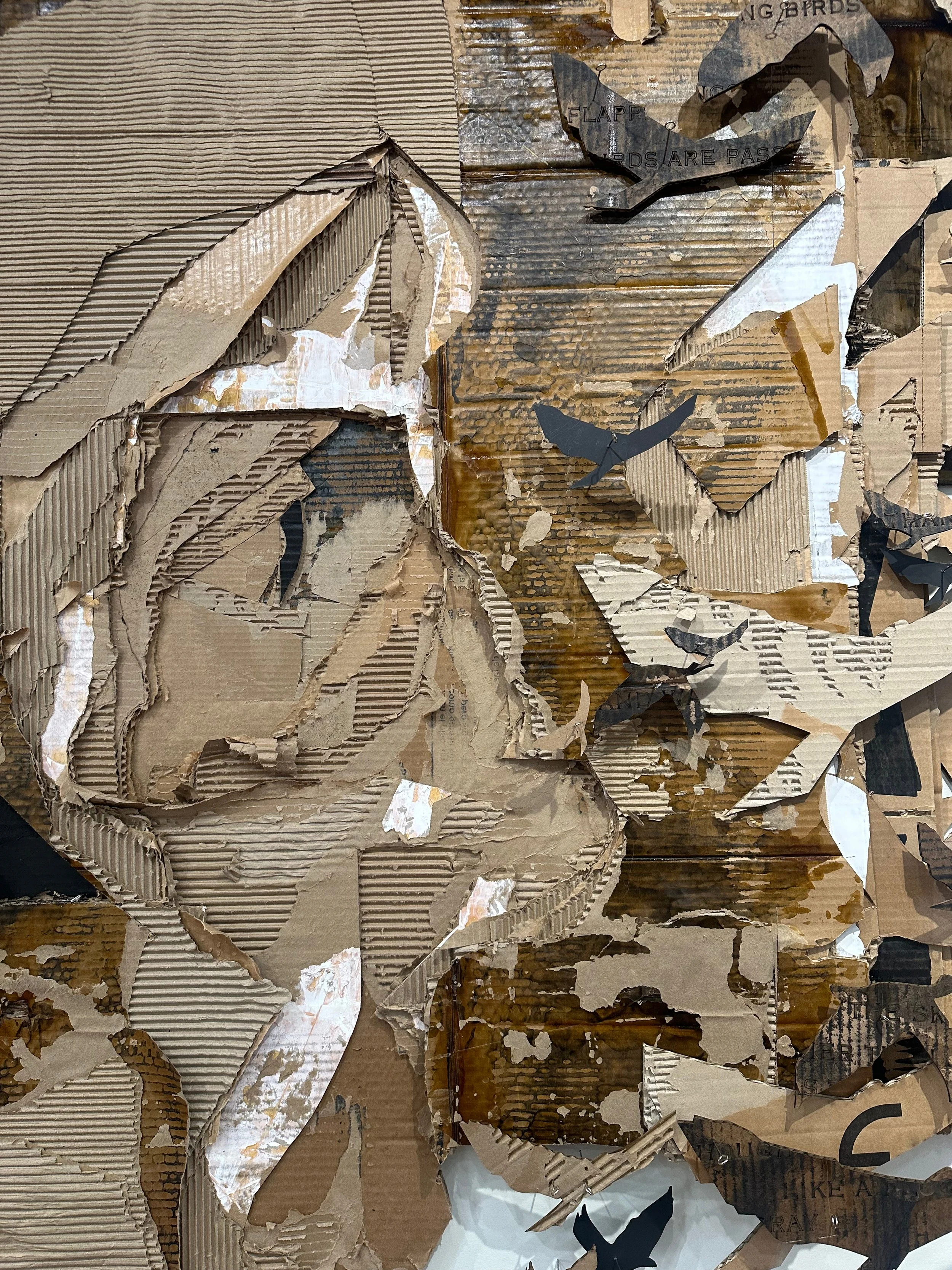 Continuum Detail.jpeg