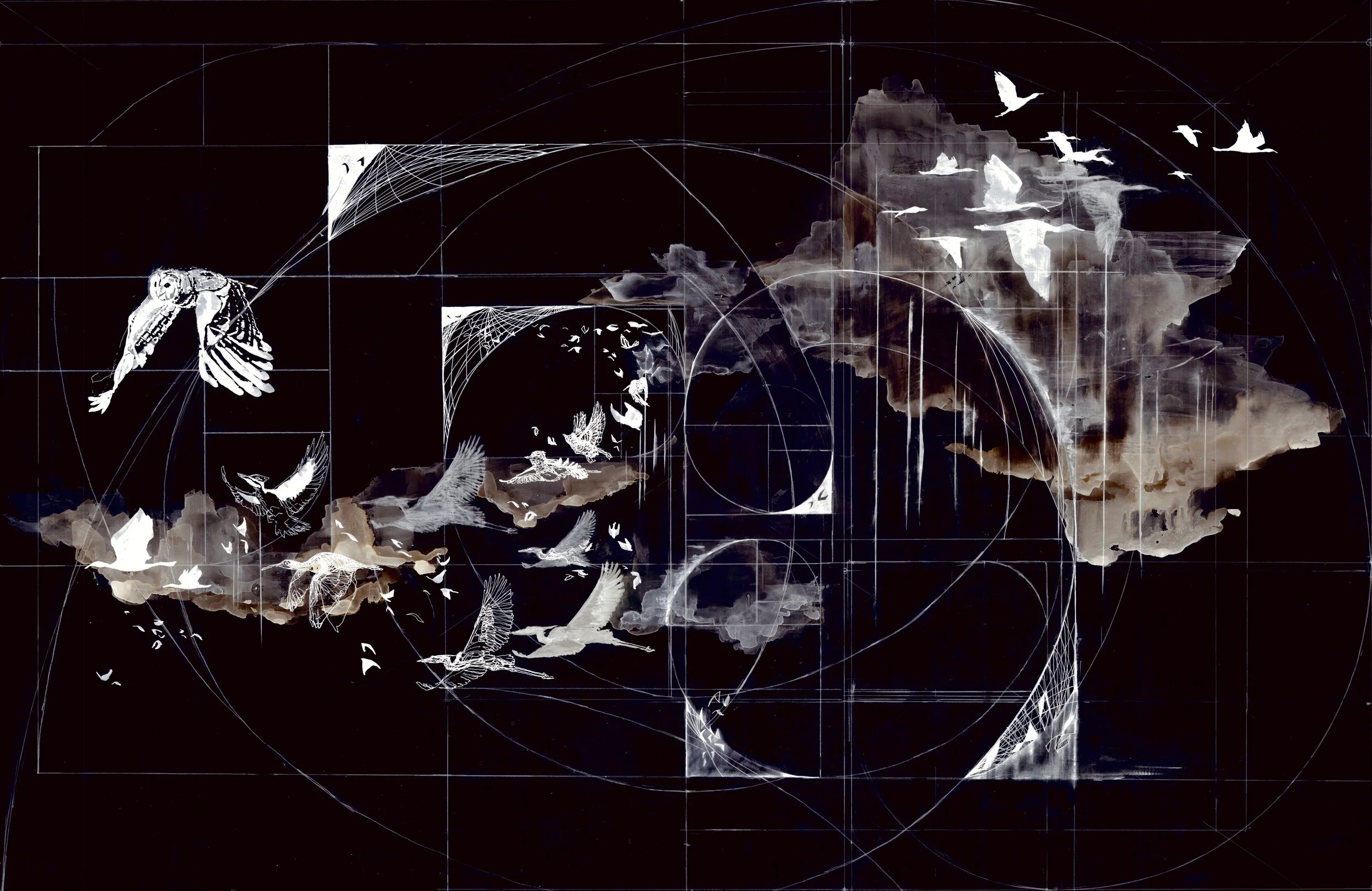 Dissonance of Reason Nocturne Scan.jpeg