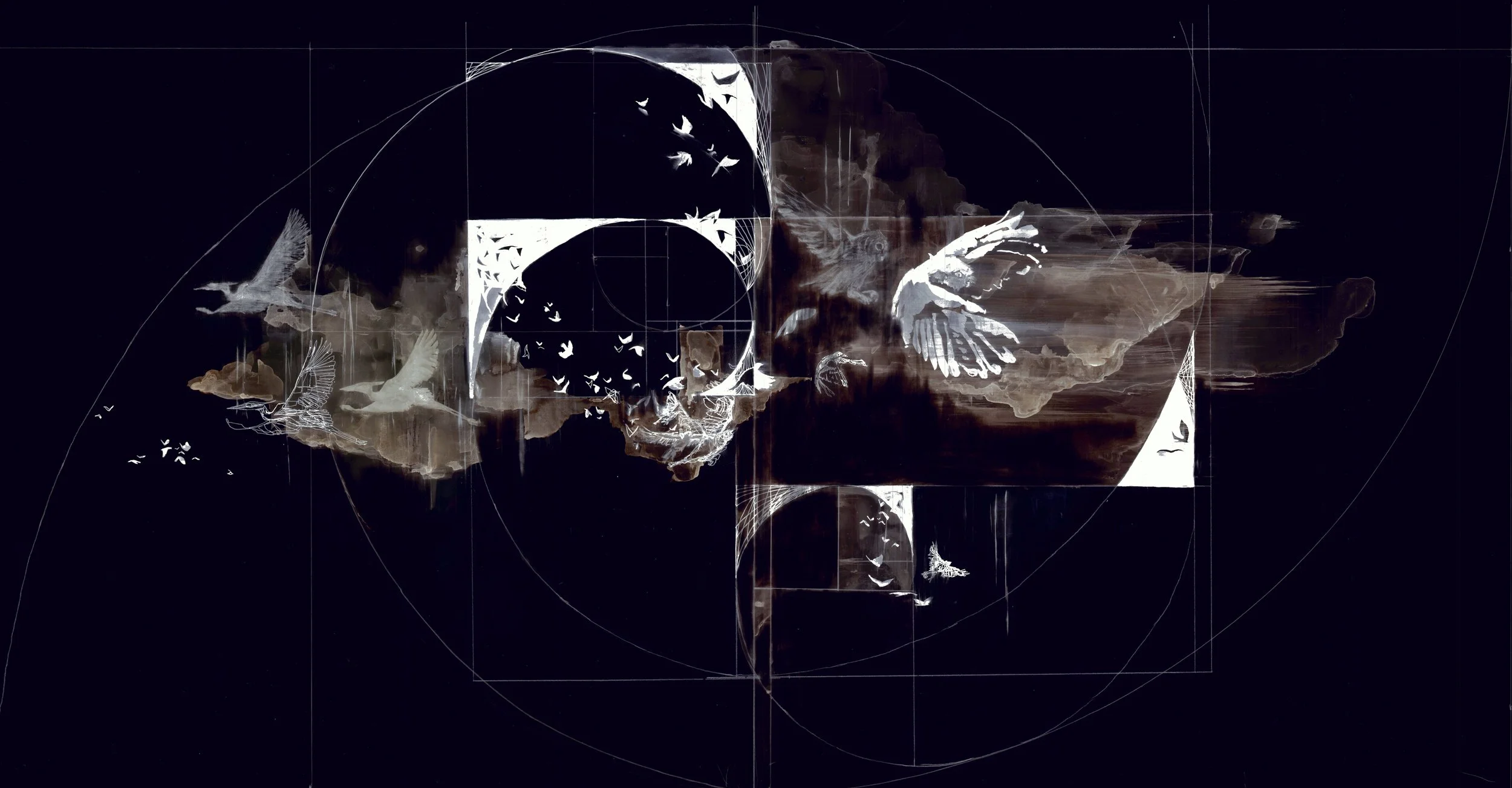 Dissonance of Reason NocturneII.jpeg