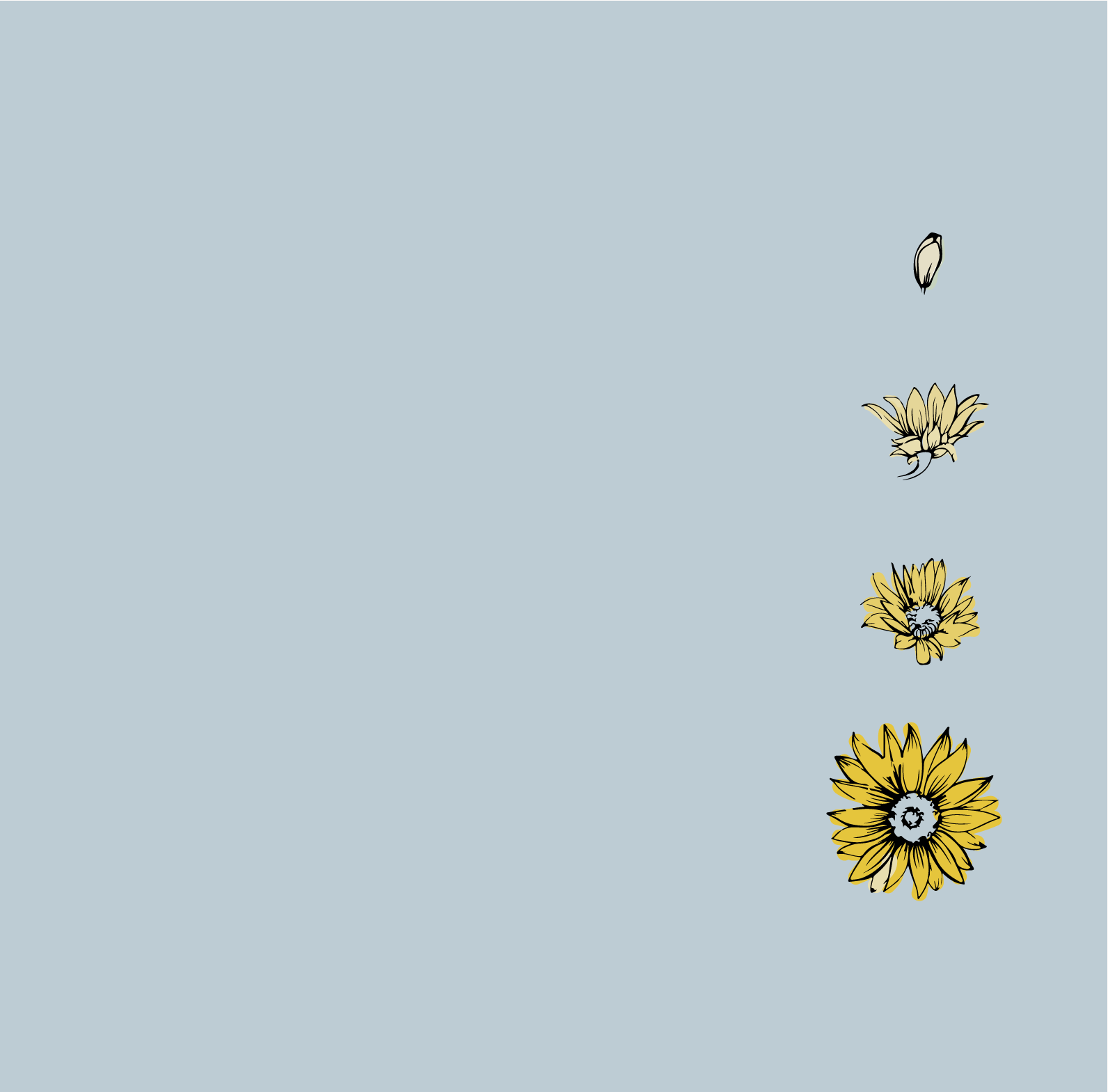 Artboard 5 copy 2.png