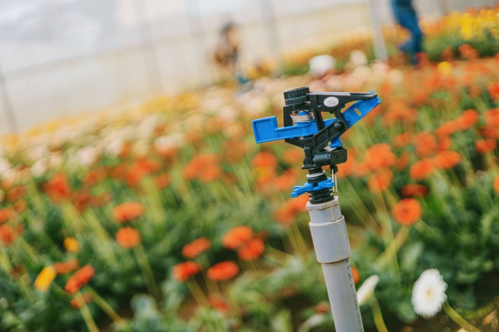 How Long Should Sprinklers Run? Your Guide to Watering Your Lawn — Heartland Sprinklers