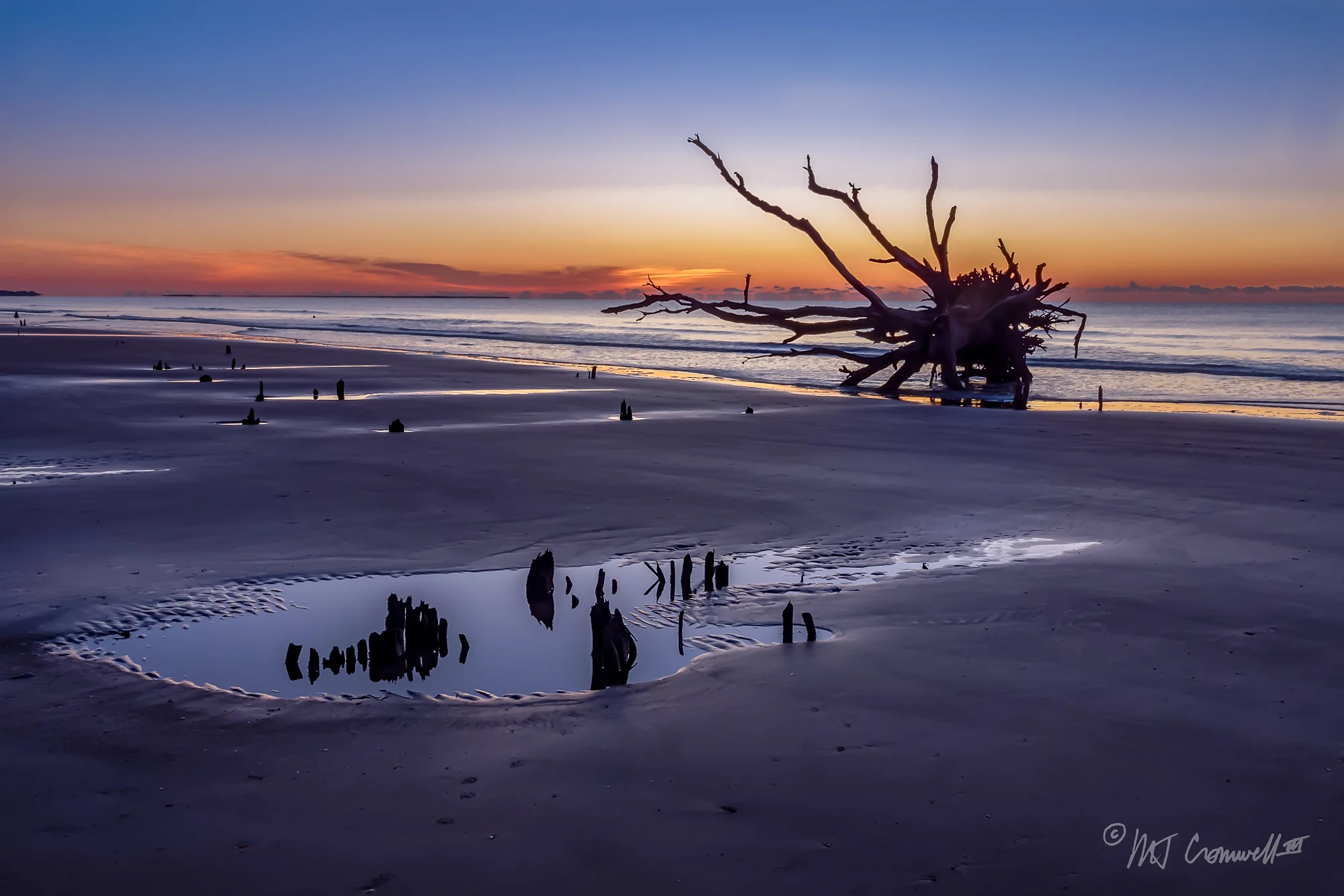 Botany Bay at Dawn