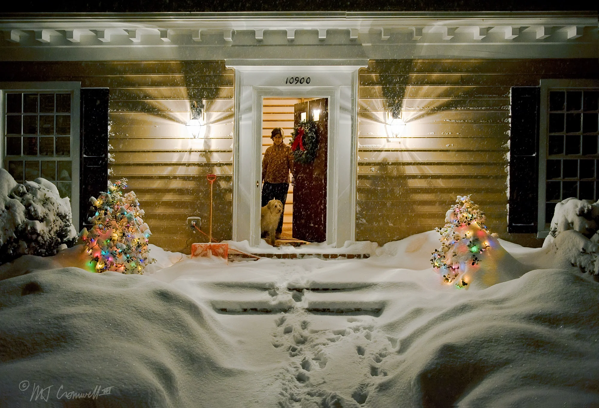 Inspecting the Snow