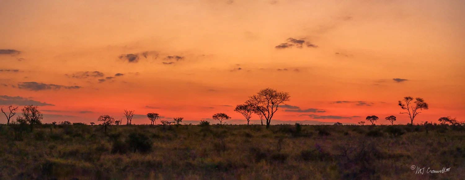 Sunset in Lodolozi Game Preserve