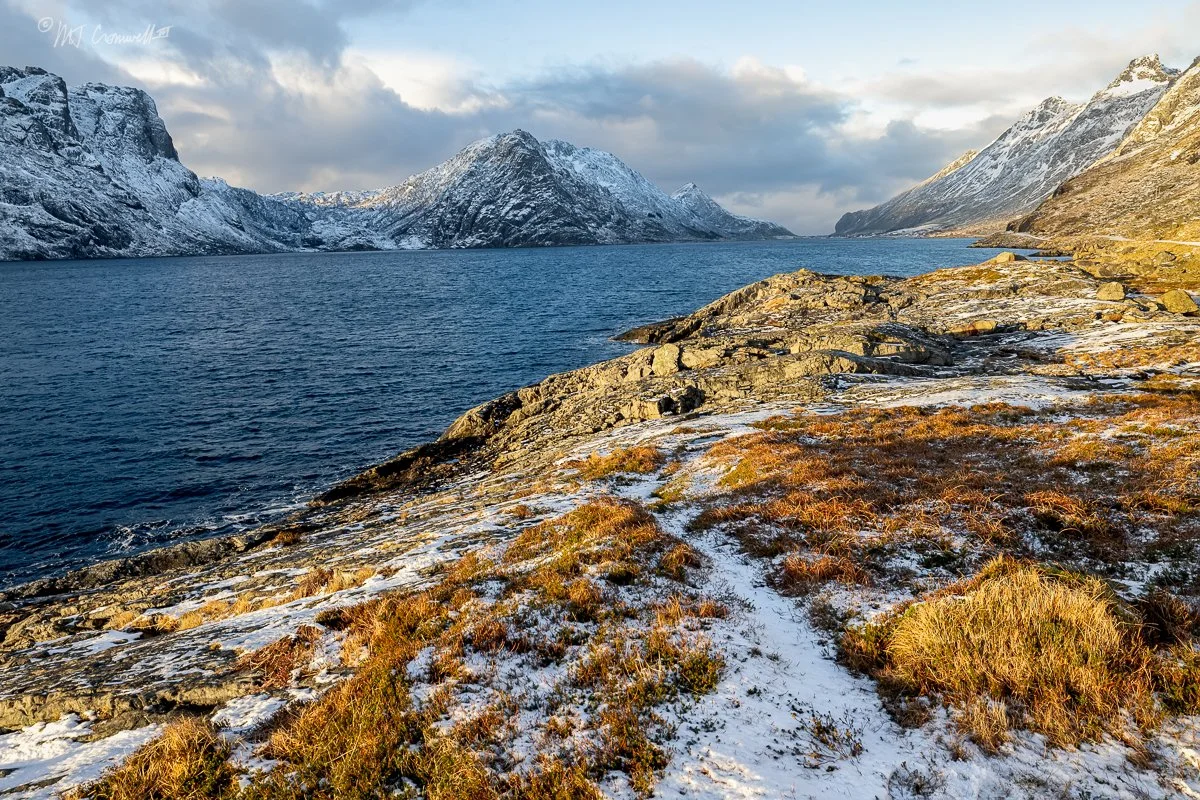 250212 13-17-26 377-Edit.JPG