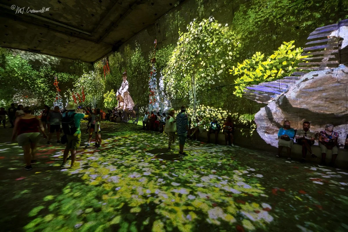 Part of Monet Exposition inside quarry at Carrieres des Lumieres 