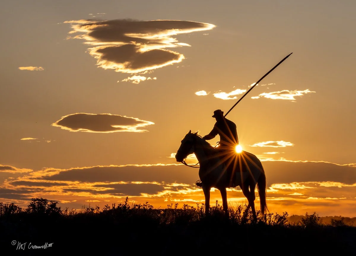 Silhoette of Gardian on Camargue Horse at Sunrise